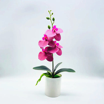 Real Touch Phalaenopsis Orchid - DECO