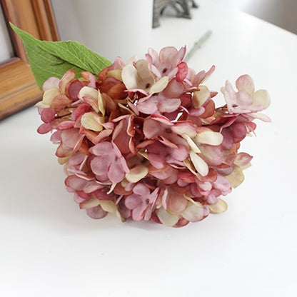 Hydrangea Stem - DECO