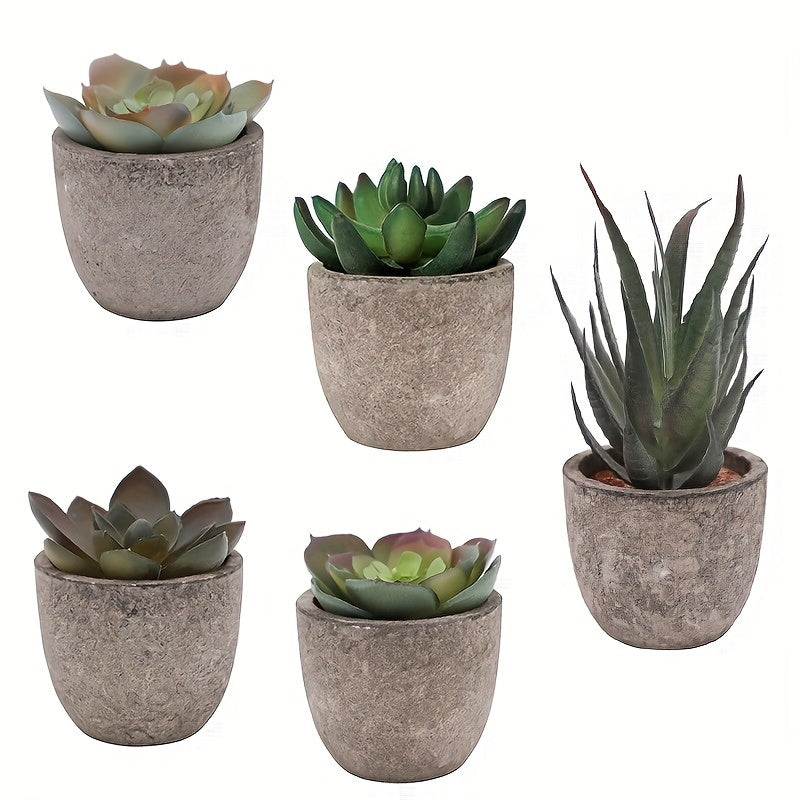 Artificial Succulent Plants (5 pcs) - DECO