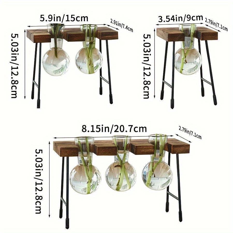 Transparent Glass Hydroponic Vase - DECO