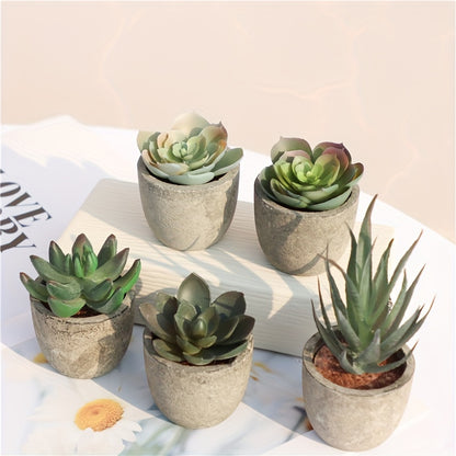 Artificial Succulent Plants (5 pcs) - DECO