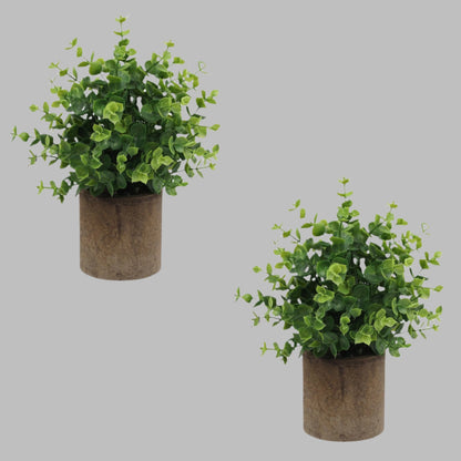 Eucalyptus Artificial Plants Set - DECO